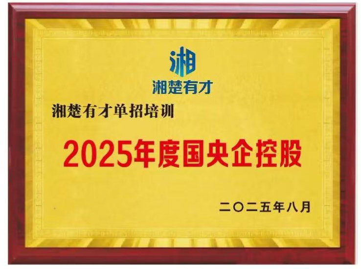 2025年度国央企控股